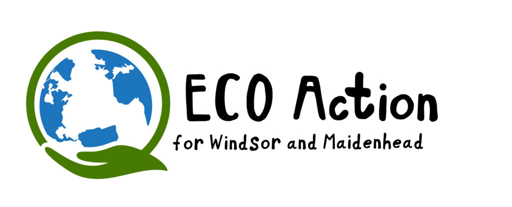 ECO Action for Windsor and Maidenhead logo