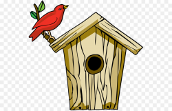 Bird and bird box