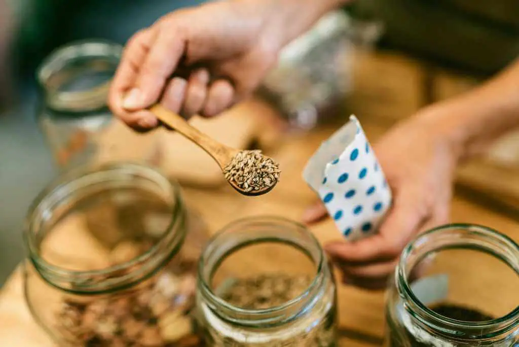 Maidenhead Seed Swap