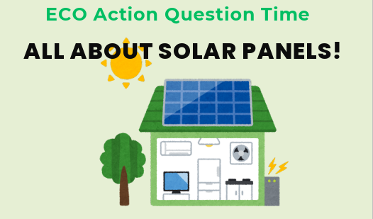 ECO Action QT: all about solar panels
