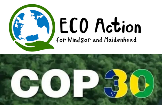 COP30 – What can we do?