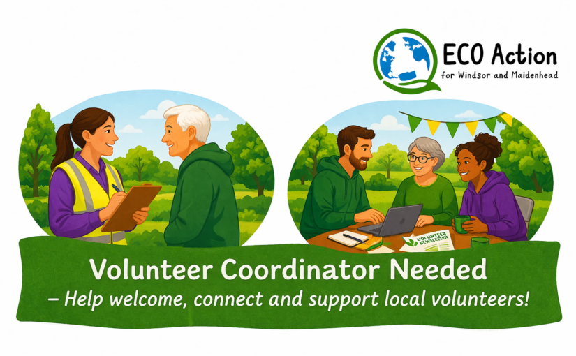 🌱 VOLUNTEERS COORDINATOR ROLE