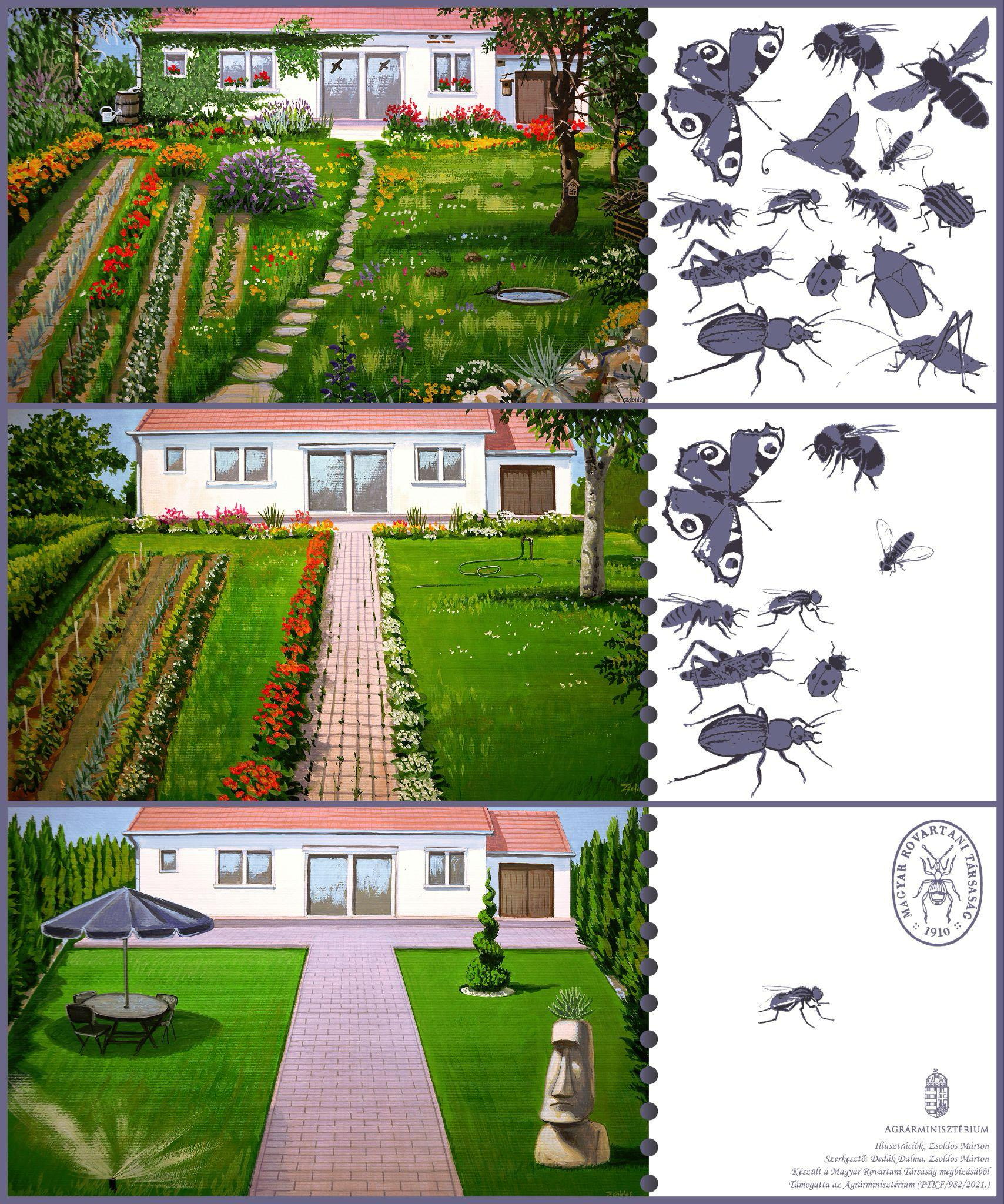 Wildlife Gardens – How can they help?