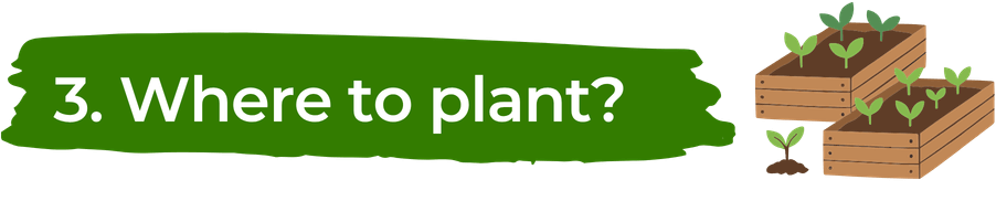 Where to plant