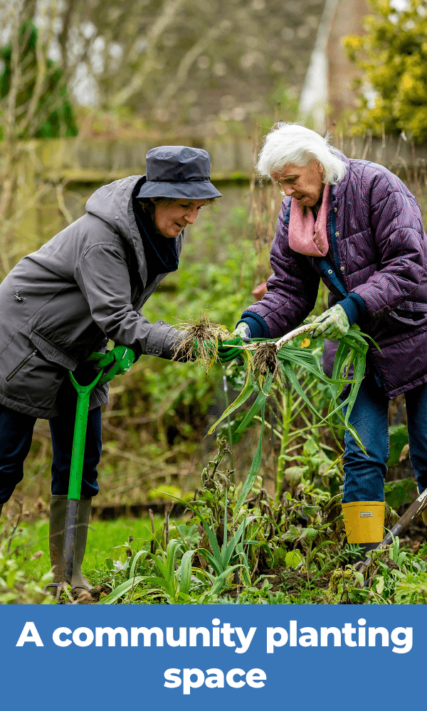 A community planting space