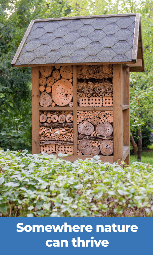 Somewhere for nature to thrive